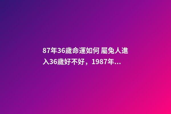 87年36歲命運如何 屬兔人進入36歲好不好，1987年屬兔人最旺的年齡-第1張-觀點-玄機派
